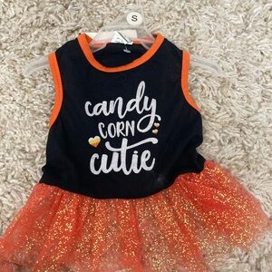 Festive Candy Corn cutie  Dog Dress NWT Small